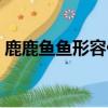 鹿鹿魚魚形容什么（鹿鹿魚魚是什么意思呢）