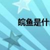 皖魚是什么魚（皖魚具體是什么魚）