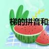 梯的拼音和組詞（梯組詞和拼音有哪些）