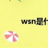 wsn是什么意思（wsn意思簡述）
