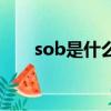 sob是什么意思（英語sob什么意思）