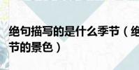 絕句描寫的是什么季節(絕句描寫的是什么季節的景色)