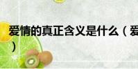愛情的真正含義是什么(愛情的真正含義解說)