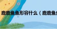 鹿鹿魚魚形容什么(鹿鹿魚魚是什么意思呢)