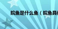 皖魚是什么魚(皖魚具體是什么魚)