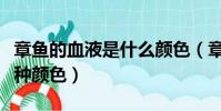 章魚的血液是什么顏色(章魚血液呈現的是哪種顏色)