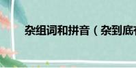 雜組詞和拼音(雜到底有哪些組詞)