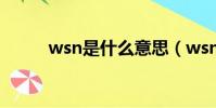 wsn是什么意思(wsn意思簡述)