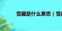 雪藏是什么意思(雪藏的含義)