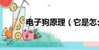 電子狗原理(它是怎么工作的)