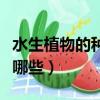 水生植物的種植方法（水生植物的種植方法有哪些）