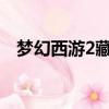 夢幻西游2藏寶閣（攻略方法與大家分享）