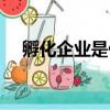孵化企業是什么意思（什么是孵化企業）