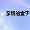 親切的金子影評（該片講述了什么故事）