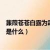 蒹葭蒼蒼白露為霜所謂伊人在水一方是什么意思（該句原文是什么）