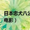 日本忠犬八公電影叫什么（是一部非常經典的電影）