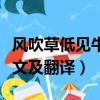 風吹草低見牛羊是哪首詩（風吹草低見牛羊原文及翻譯）