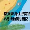 蔡文姬身上攜帶的什么物品引起瀾的回憶（蔡文姬攜帶的什么引起瀾的回憶）