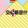 交公糧是什么意思（交公糧的相關知識）