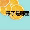 粽子是哪里的特產（關于粽子的小知識）