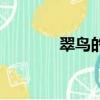 翠鳥的資料（翠鳥有多少種）