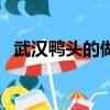 武漢鴨頭的做法（風味十足勝過街頭小吃）