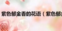 紫色郁金香的花語(紫色郁金香的花語介紹)