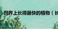 世界上長得最快的植物(長的快的是竹子)