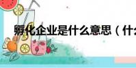 孵化企業是什么意思(什么是孵化企業)
