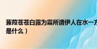 蒹葭蒼蒼白露為霜所謂伊人在水一方是什么意思(該句原文是什么)