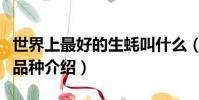 世界上最好的生蠔叫什么(世界三大頂級生蠔品種介紹)