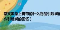 蔡文姬身上攜帶的什么物品引起瀾的回憶(蔡文姬攜帶的什么引起瀾的回憶)