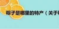粽子是哪里的特產(關于粽子的小知識)