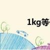 1kg等于多少g（千克kg簡介）
