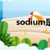 sodium是什么意思（sodium解釋）