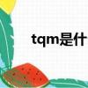 tqm是什么意思（tqm的多重含義）