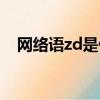 網絡語zd是什么意思（網絡語zd的含義）