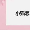 小貓怎么畫（小貓簡筆畫教程）