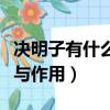 決明子有什么功效與作用（決明子有哪些功效與作用）