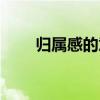 歸屬感的意思（歸屬感指的是什么）
