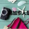 高加索人是哪個國家（高加索人介紹）