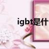 igbt是什么意思（igbt的意思介紹）