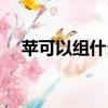 蘋可以組什么詞語（蘋可以組哪些詞語）