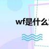 wf是什么意思（怎么理解wf的意思）