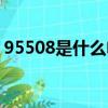 95508是什么電話（95508屬于什么電話呢）