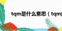 tqm是什么意思(tqm的多重含義)