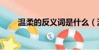 溫柔的反義詞是什么(溫柔的意思)
