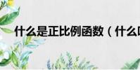 什么是正比例函數(什么叫正比例函數)