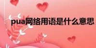pua網絡用語是什么意思(pua的意思)