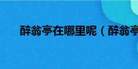醉翁亭在哪里呢(醉翁亭指什么地方)